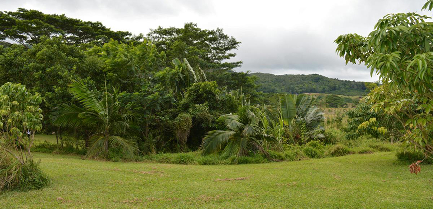 land for sale mauritius chamarel